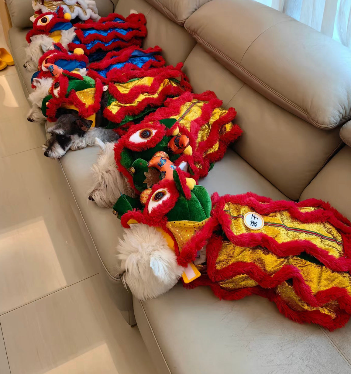 CNY Lion Dance costume