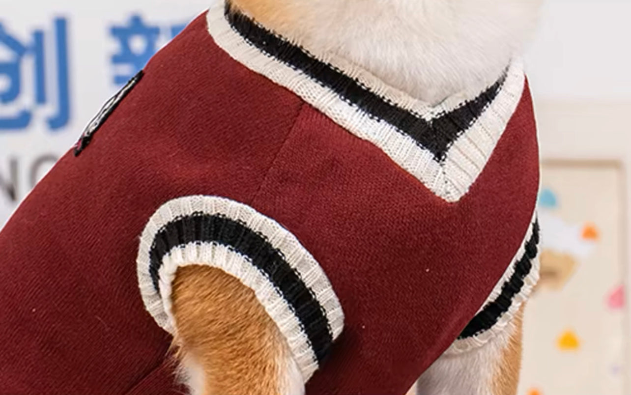 College style pet sweater
