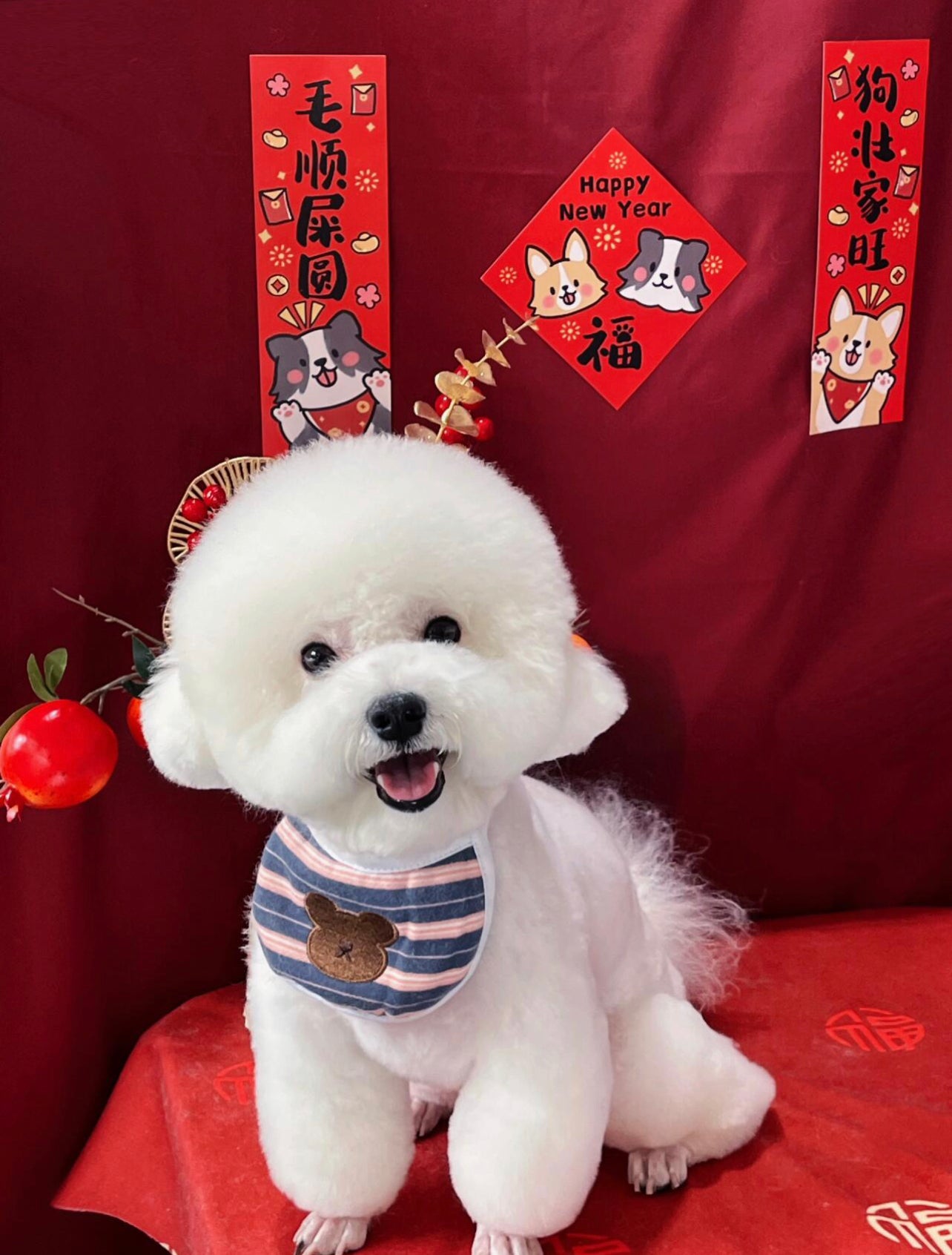 Pet-themed Chinese New Year couplets