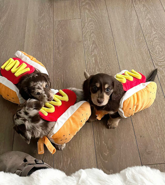 Hotdog costume