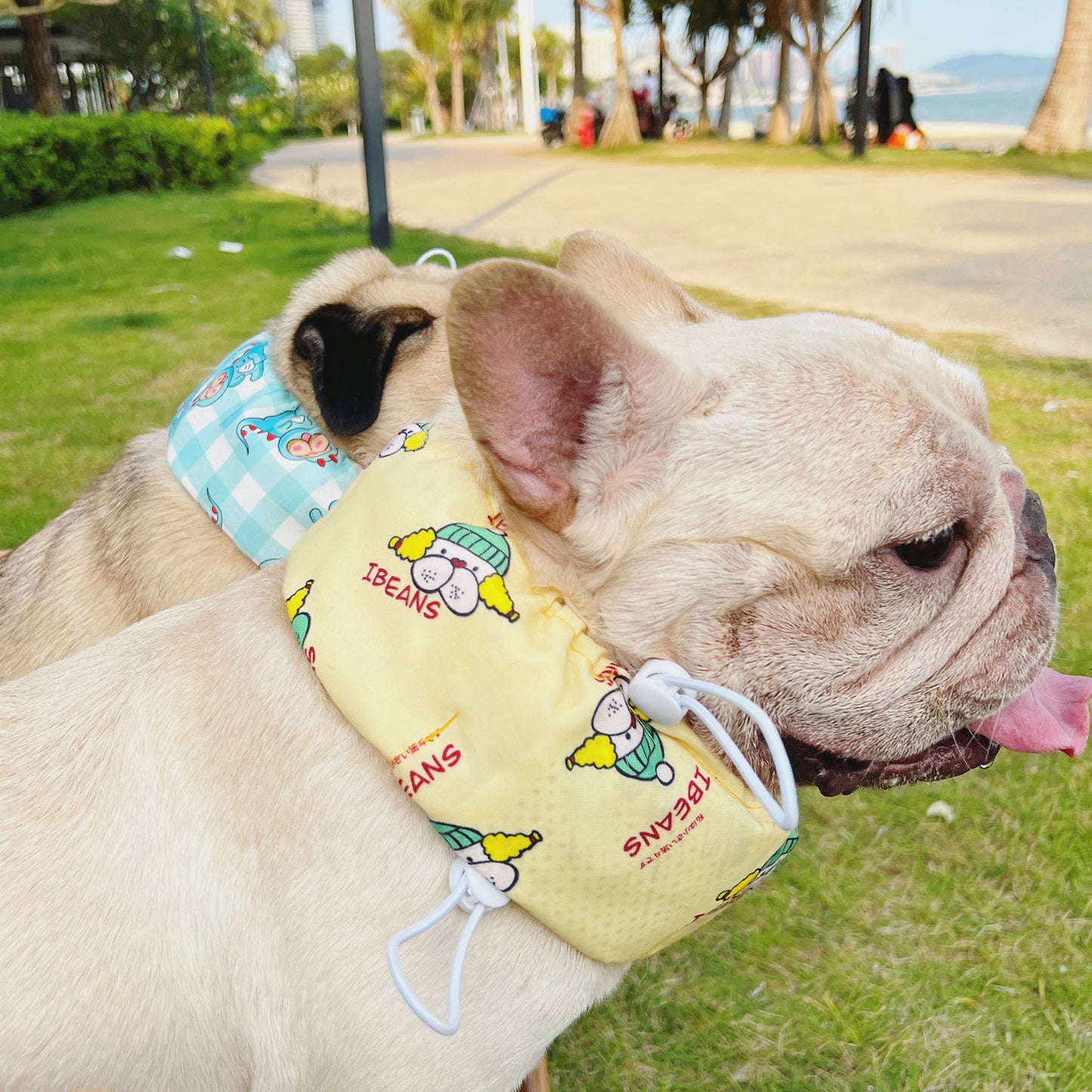 Pet cooling bandana
