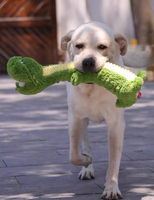 Crocodile pet chew toy