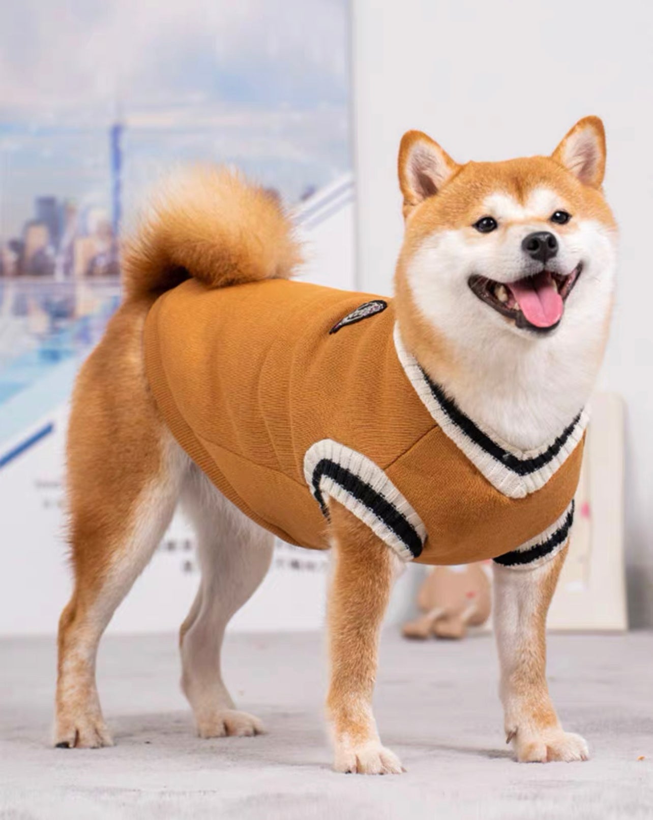 College style pet sweater