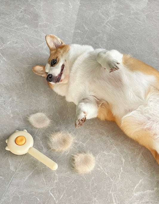 Cute pet comb