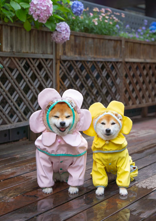 Flower pet rain coat