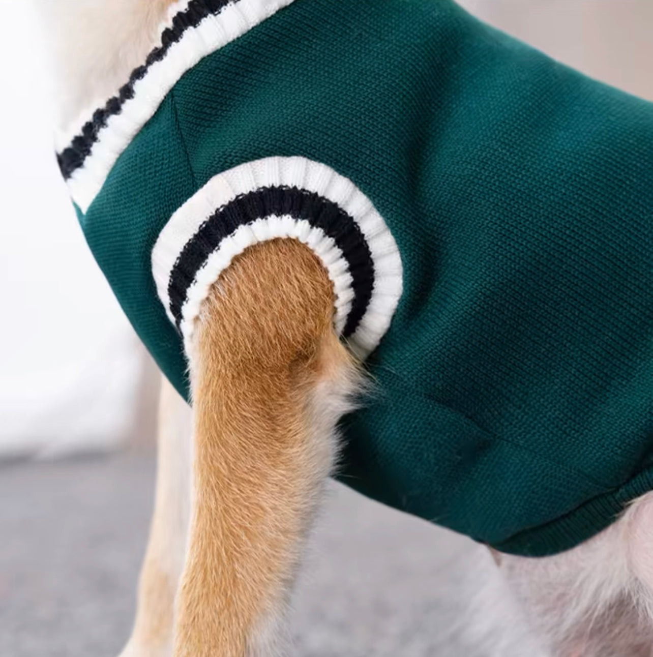 College style pet sweater