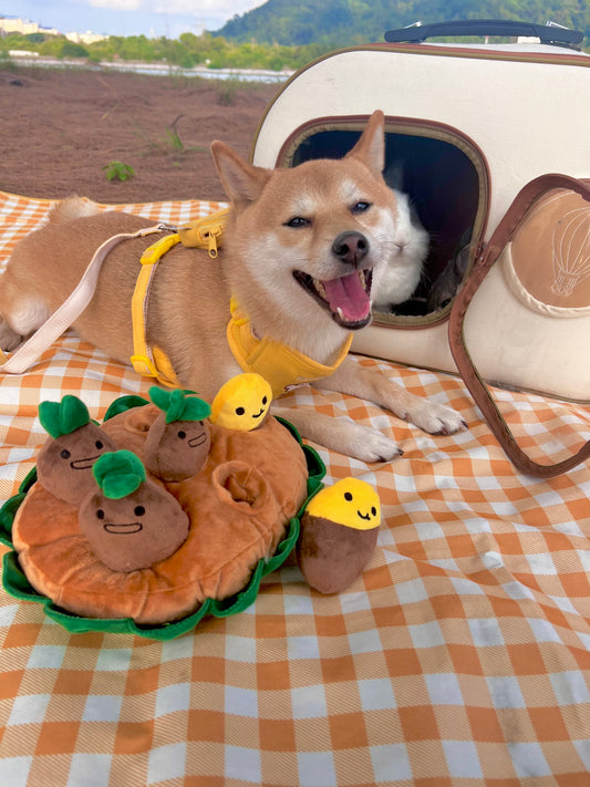 Potato Farm Toy Set