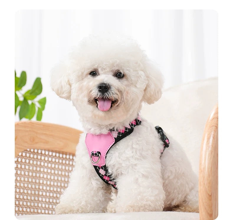 Macaron themed pet harness set