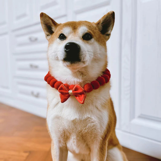 Velvet Bow Charm Collar