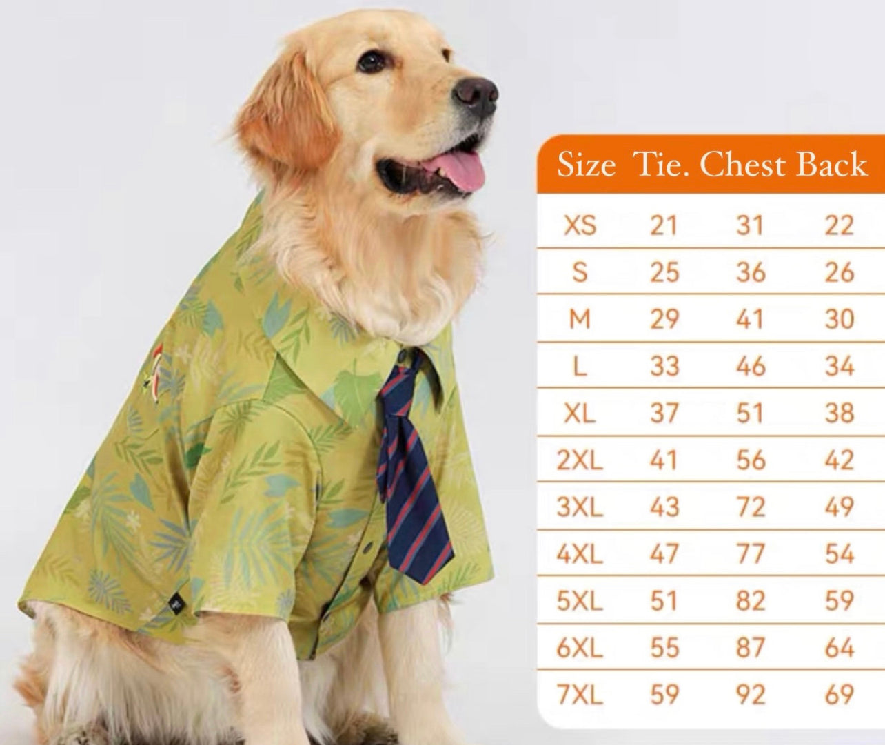 Nick’s pet shirt & tie
