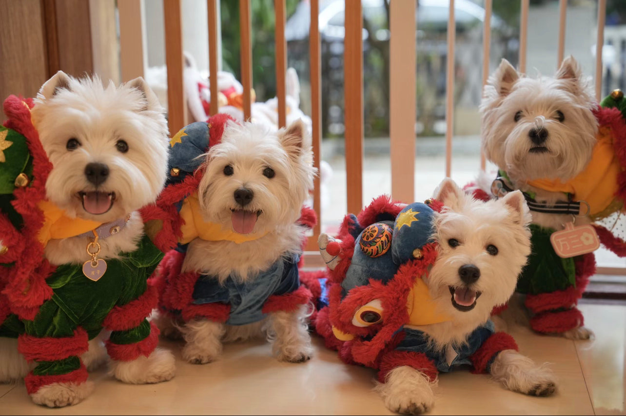 CNY Lion Dance costume