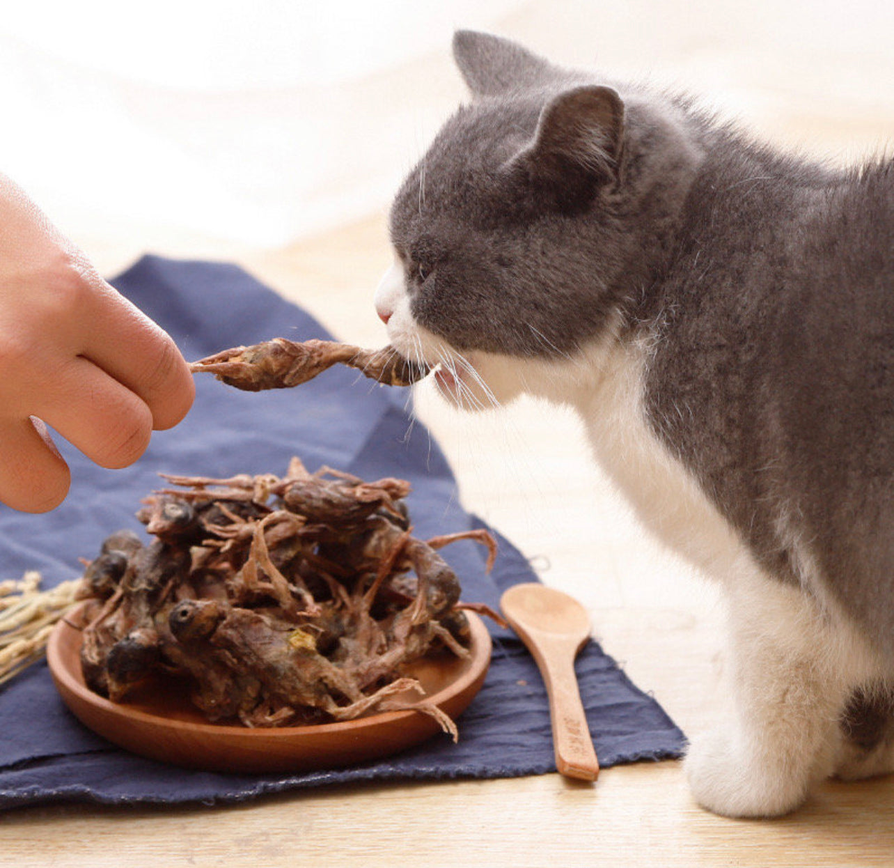 Freeze dried quail