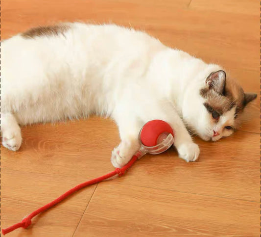 Interactive pet rolling ball