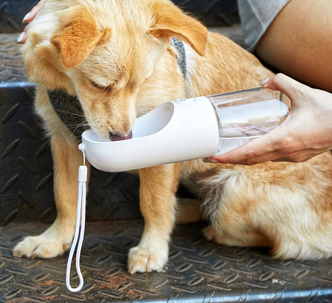 클래식 화이트 PET병
