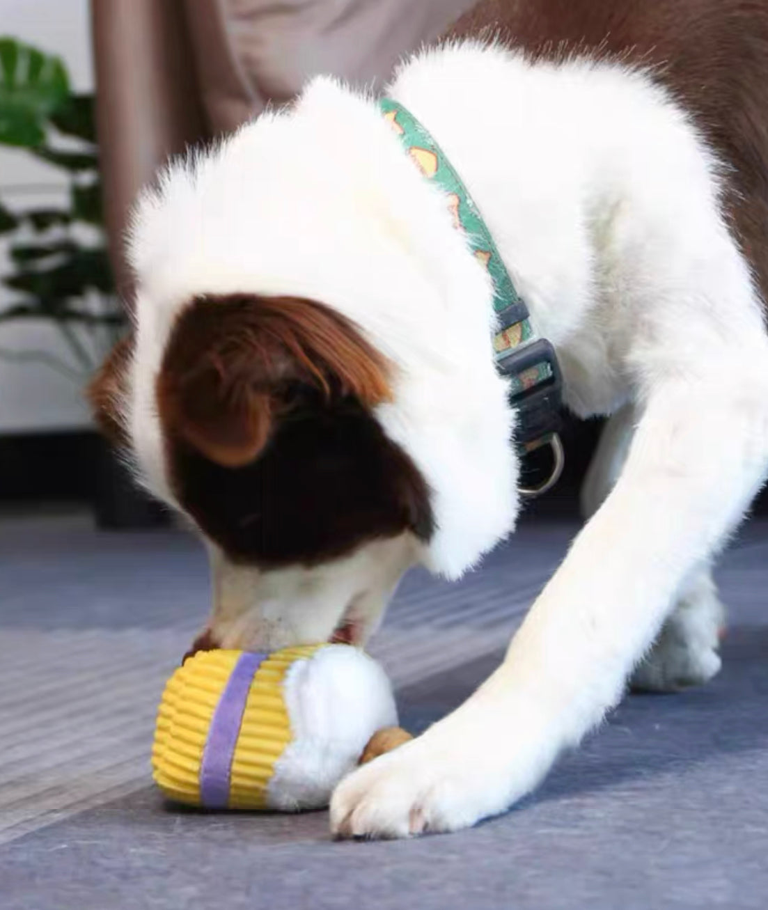 Coffee series pet chew toy