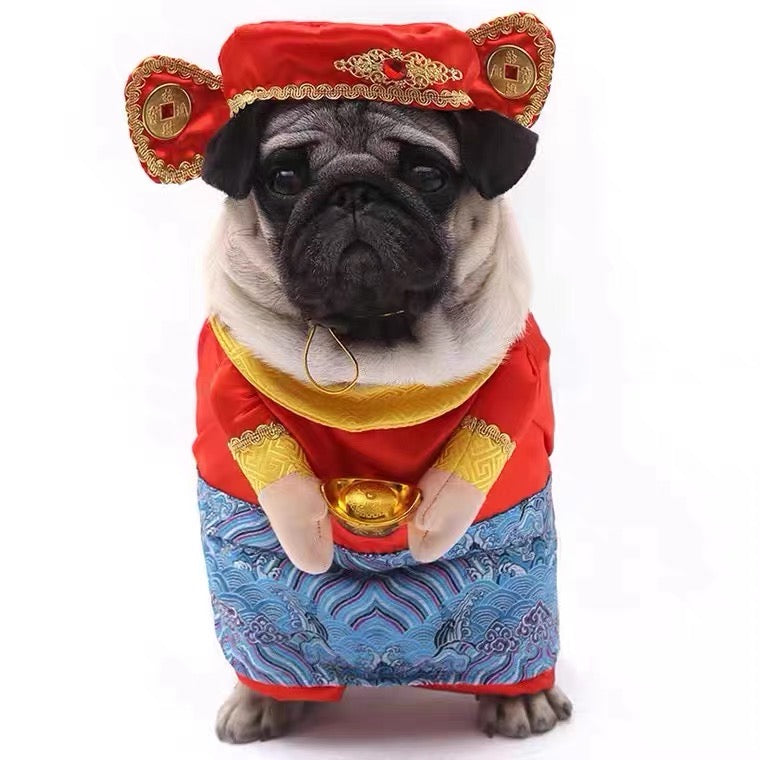 God of wealth costume