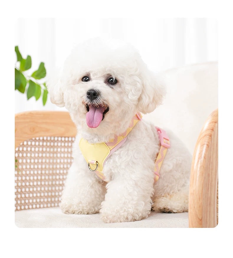 Macaron themed pet harness set