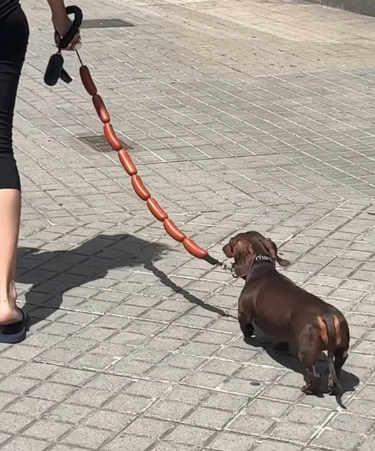 Sausage chain leash