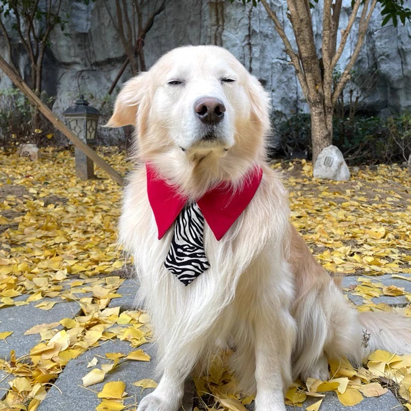 Pet tie