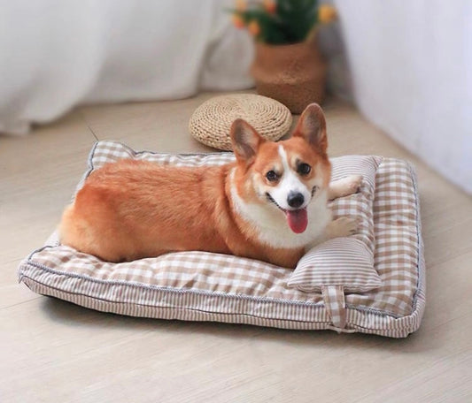 Dog Day Mattress