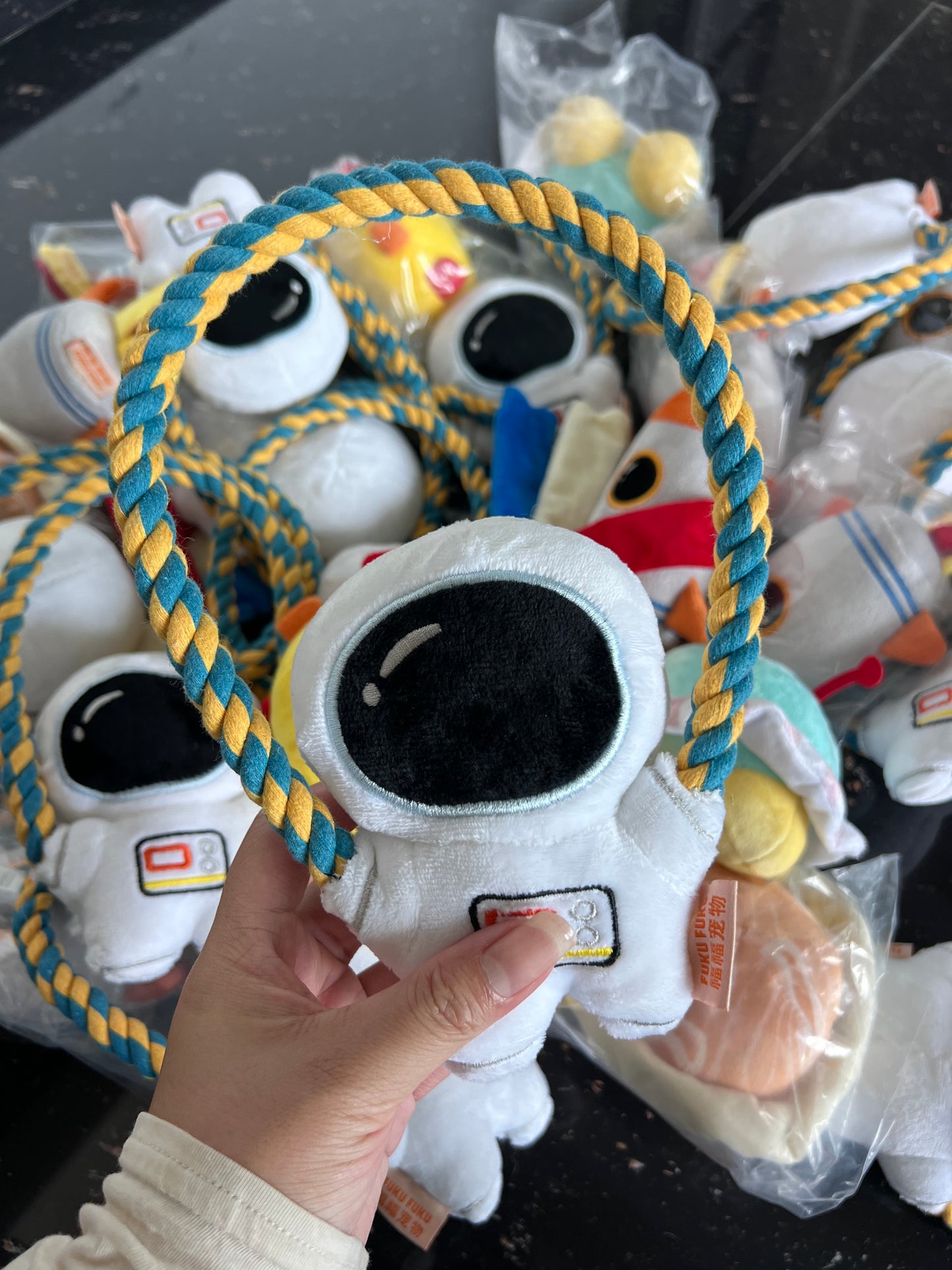 Space series pet toys