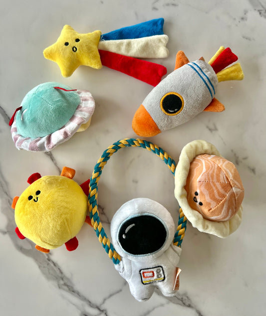Space series pet toys