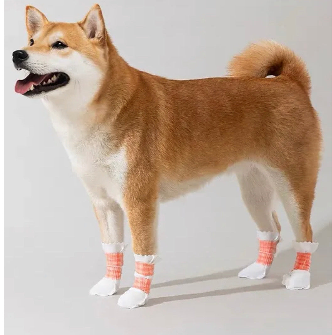 Pet disposable shoes