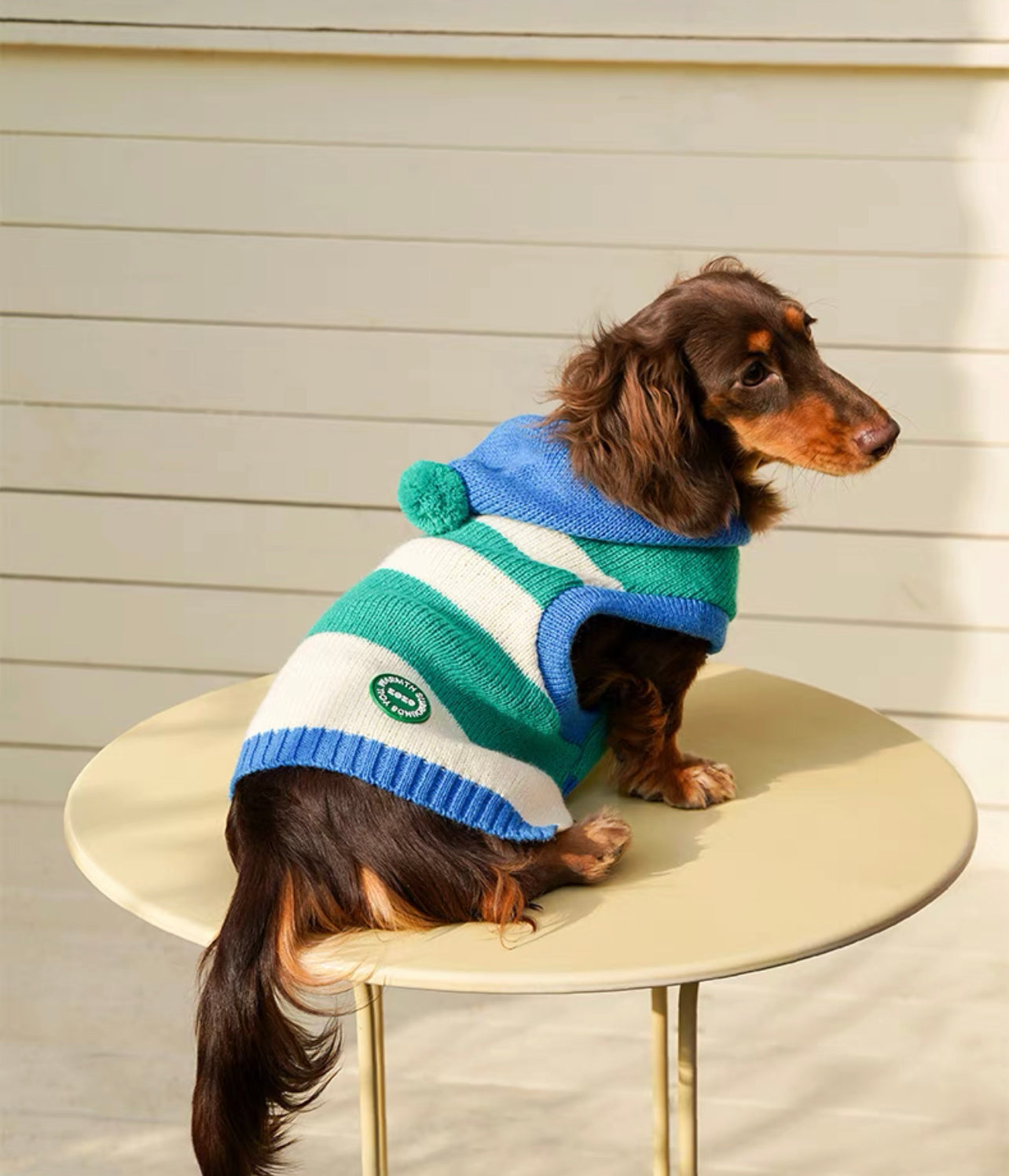 Pet Striped singlet