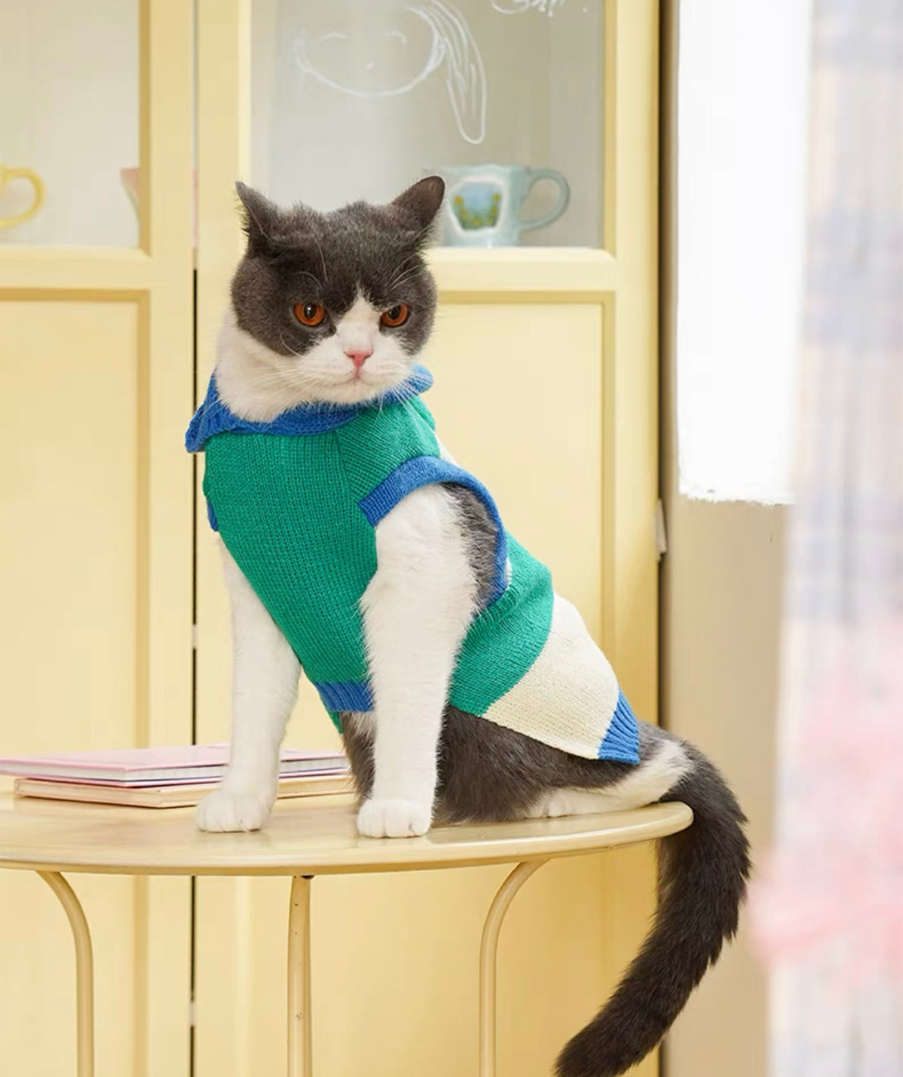 Pet Striped singlet