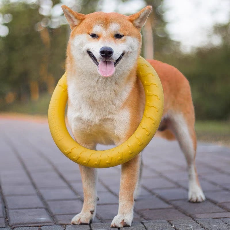 Large size dog ring toy