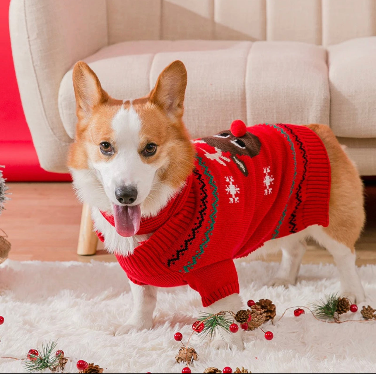 Reindeer sweater