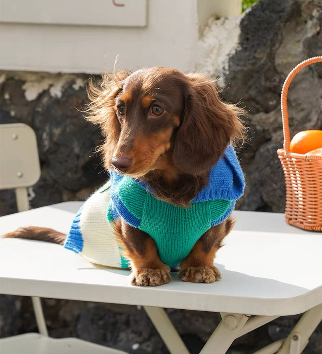 Pet Striped singlet
