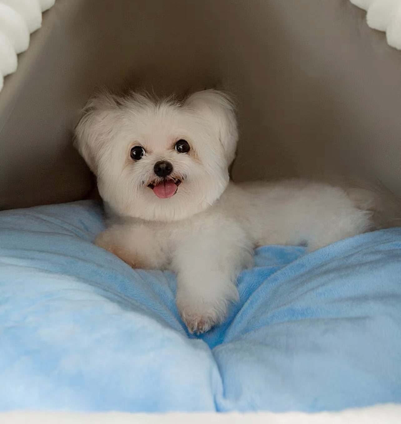 Cinnamoroll pet tent bed