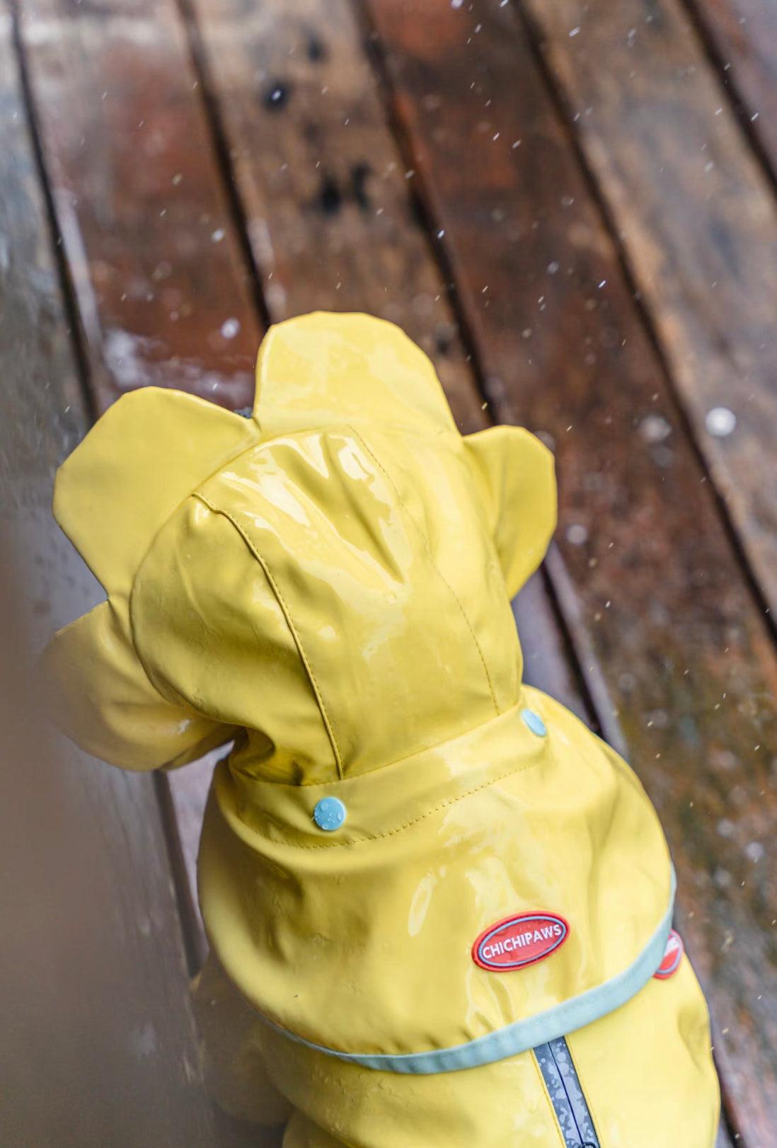 Flower pet rain coat