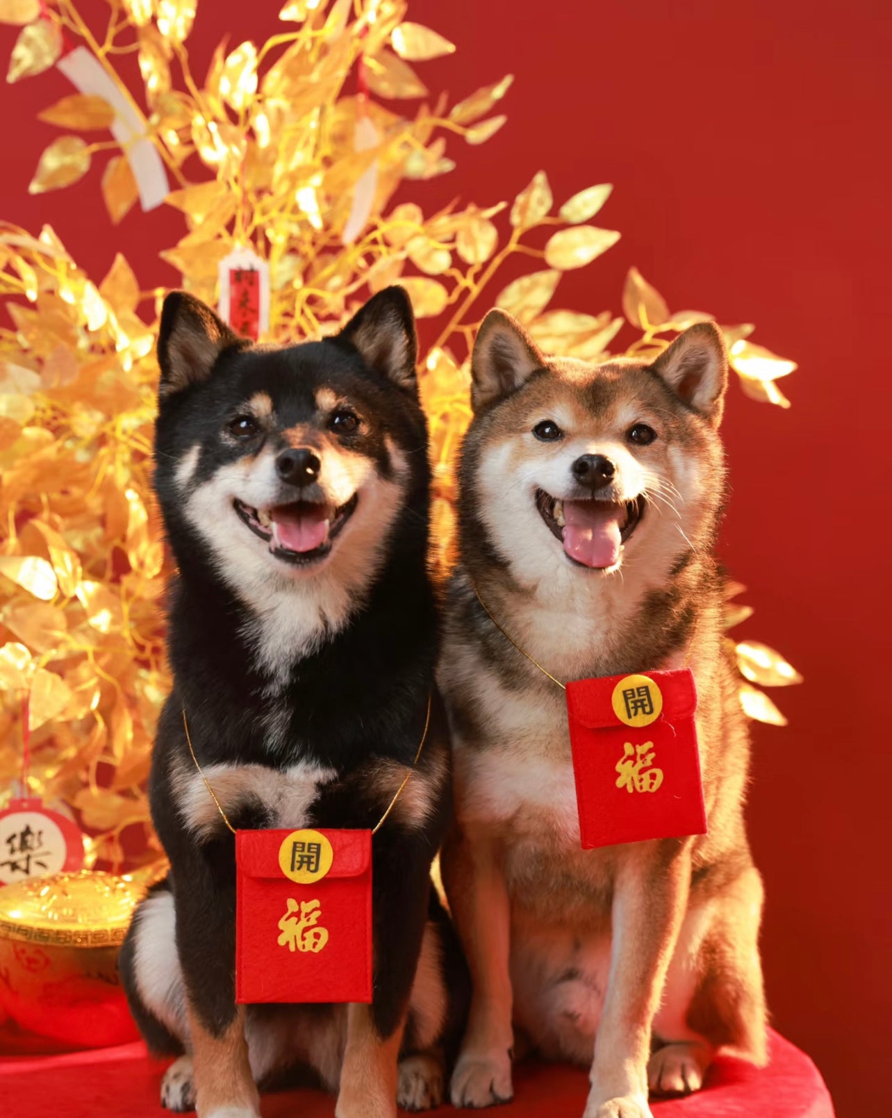 Red packet bags