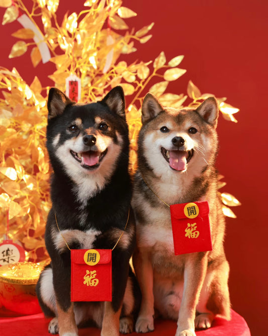 Red packet bags