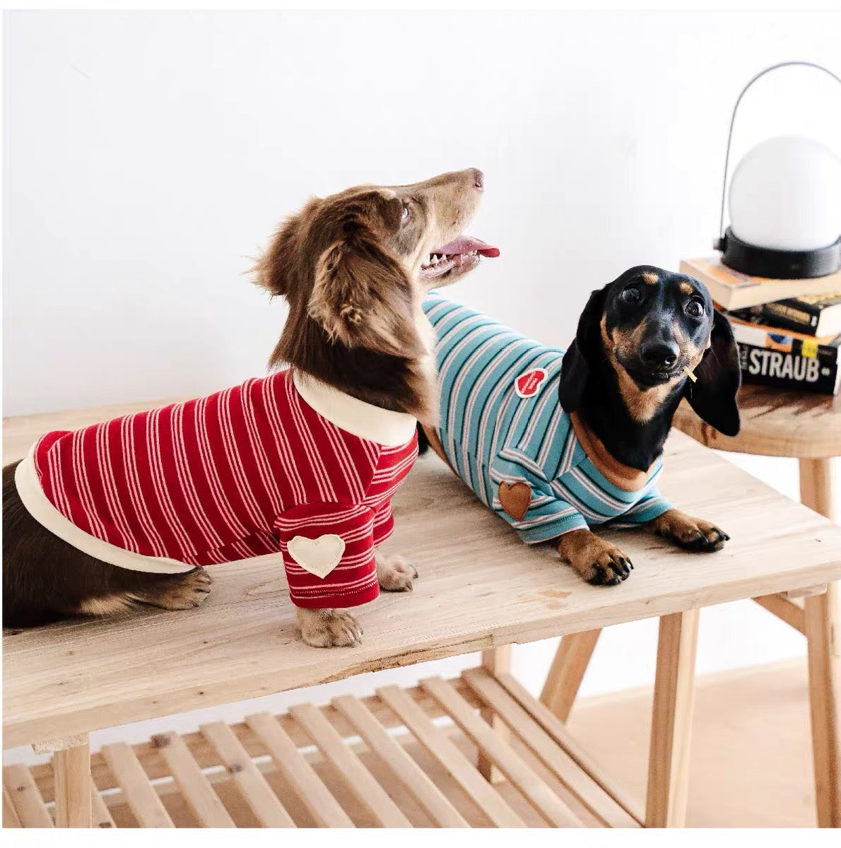 Striped pet clothes