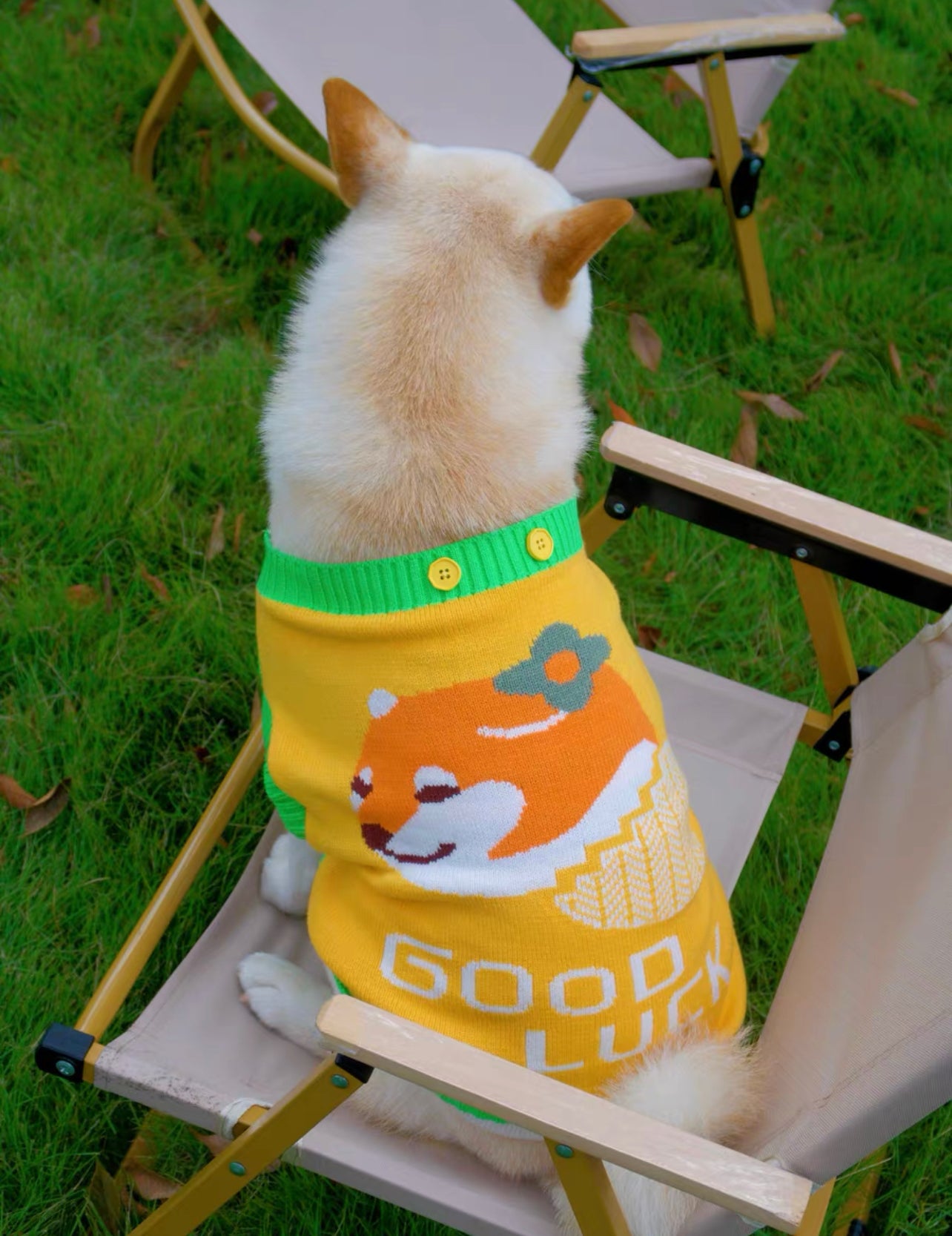 Lucky sweater