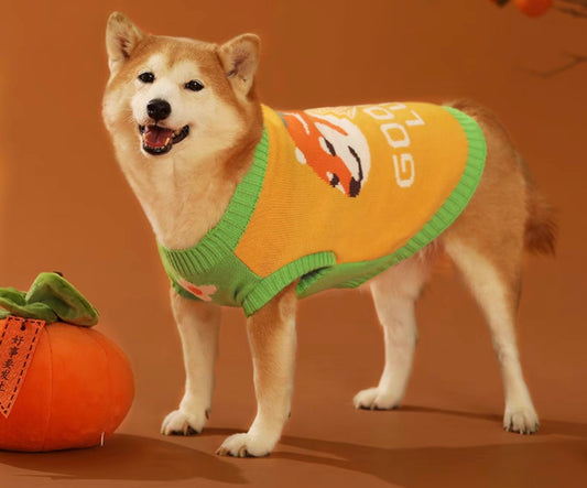 Lucky sweater
