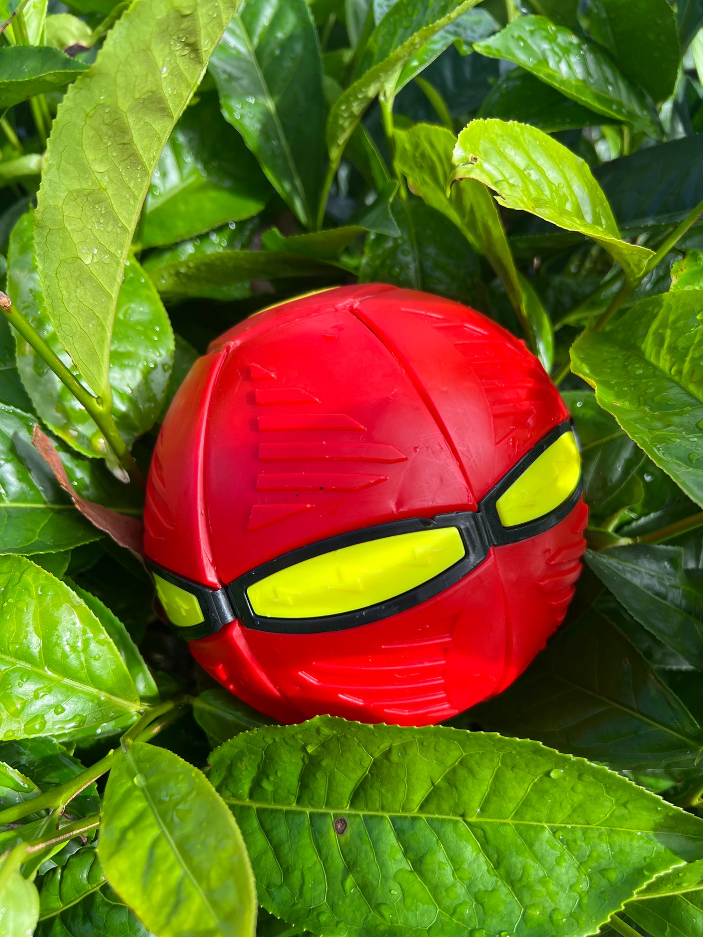 UFO 마법 비행 공