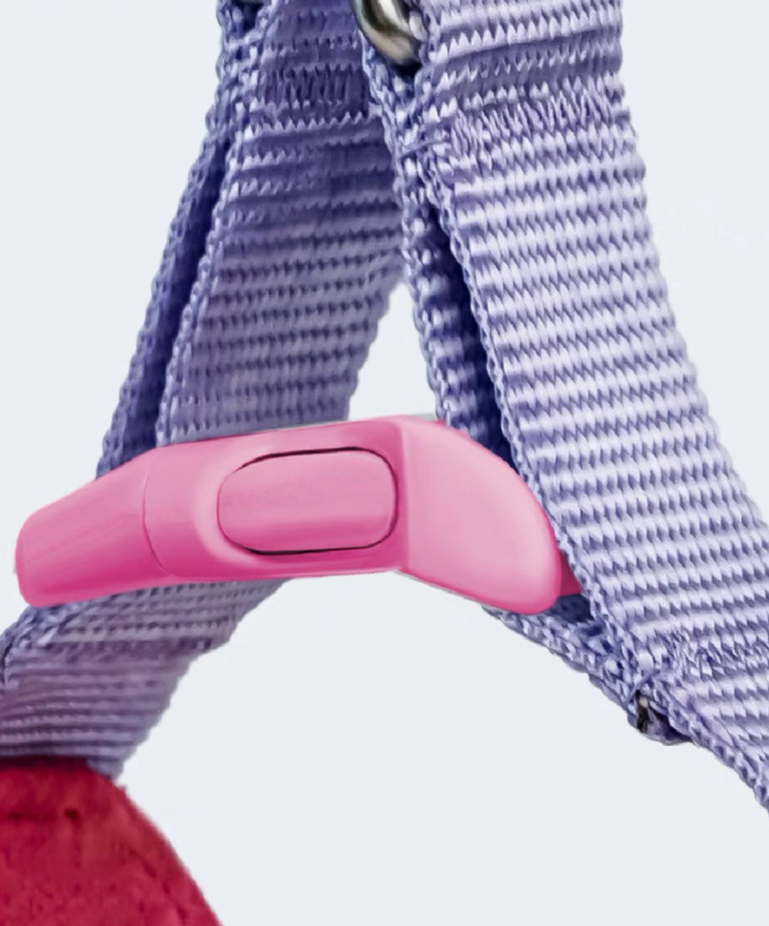 Colorful stylish harness