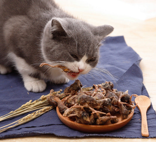Freeze dried quail