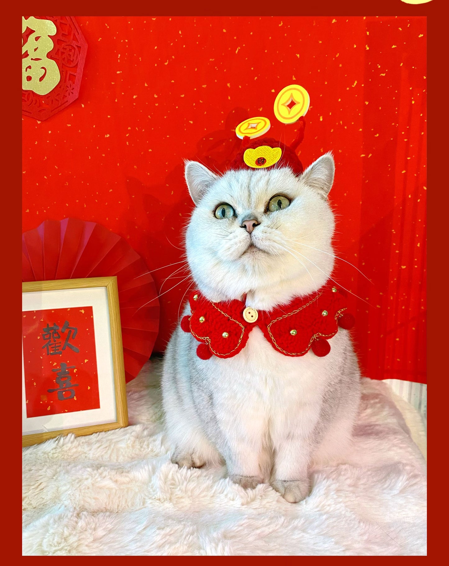 Pet knitted collar hat set