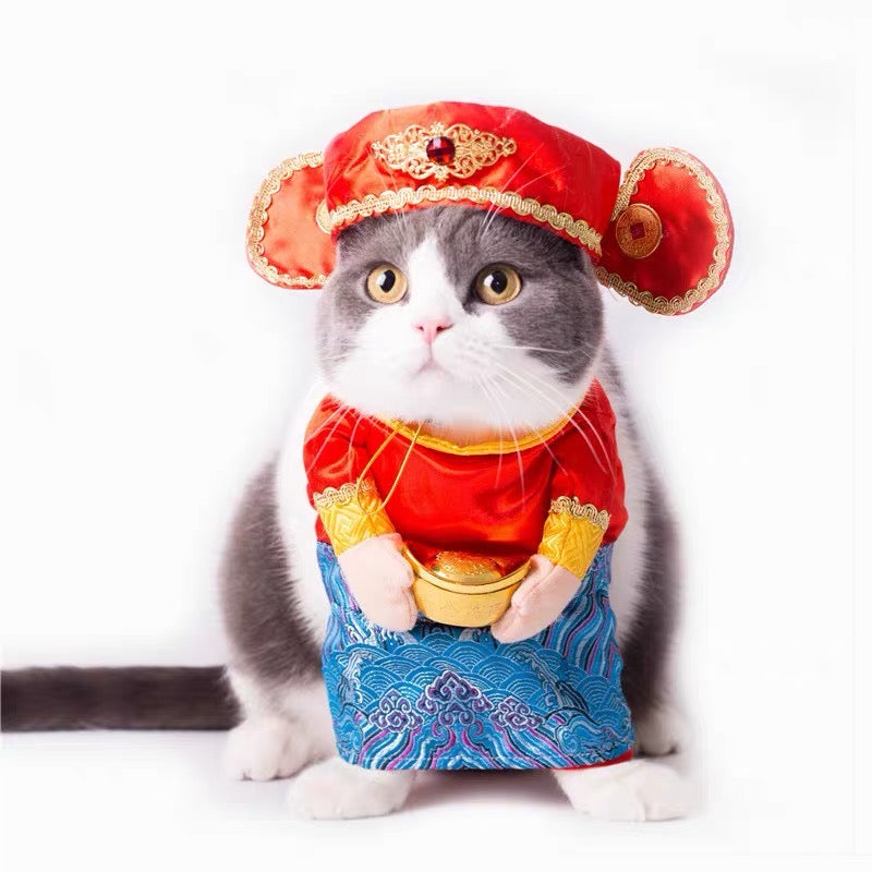 God of wealth costume
