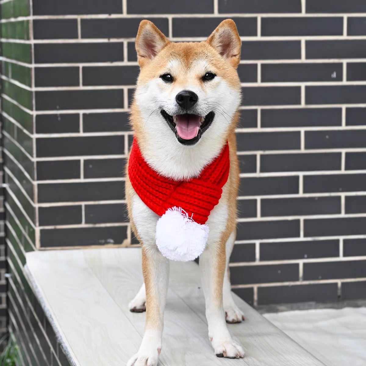 Pet scarf