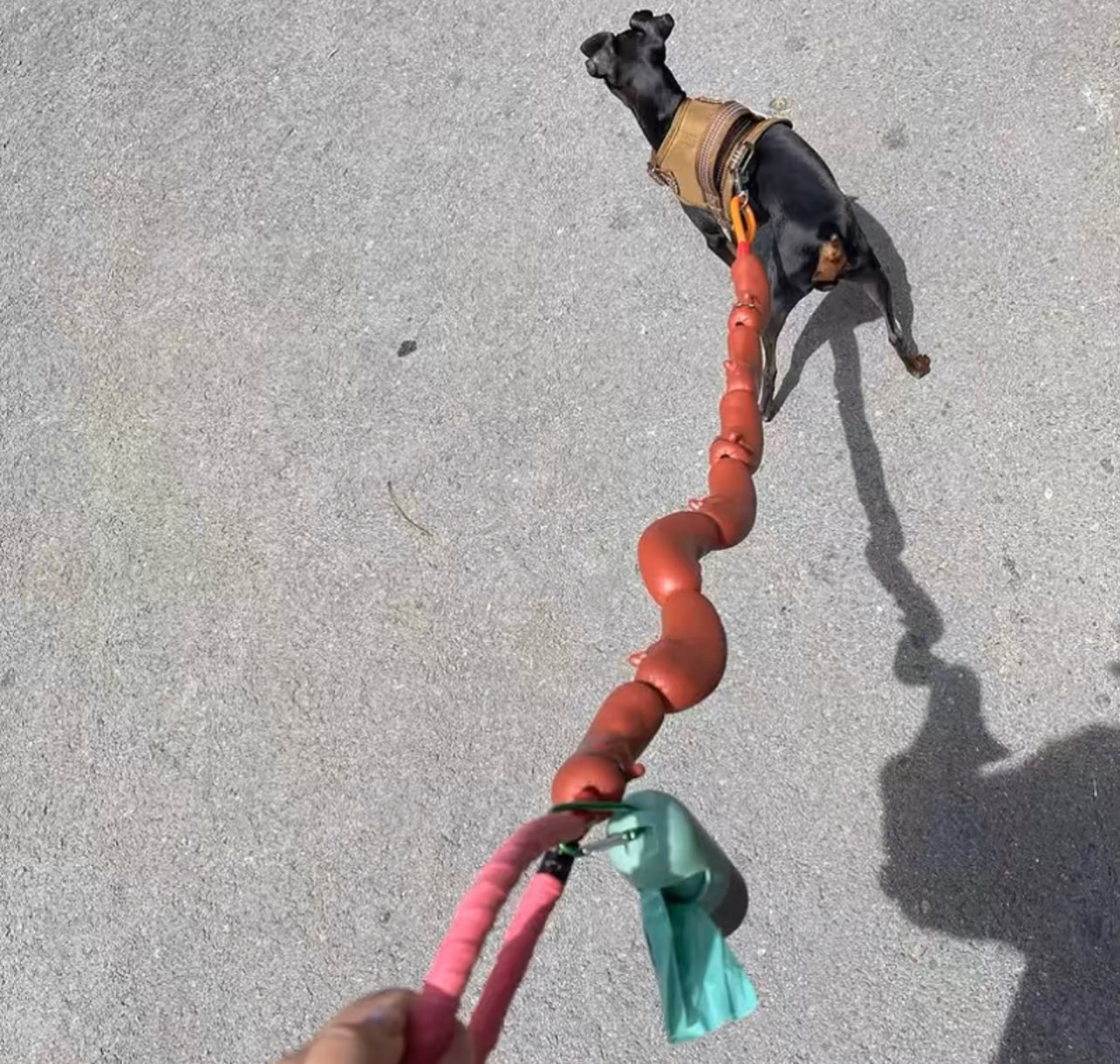 Sausage chain leash