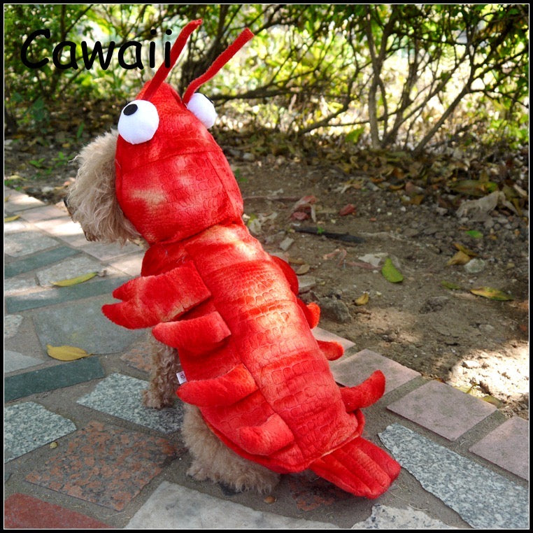 Lobster costume