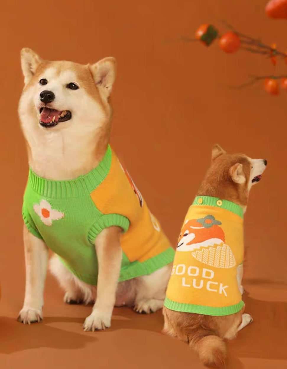 Lucky sweater