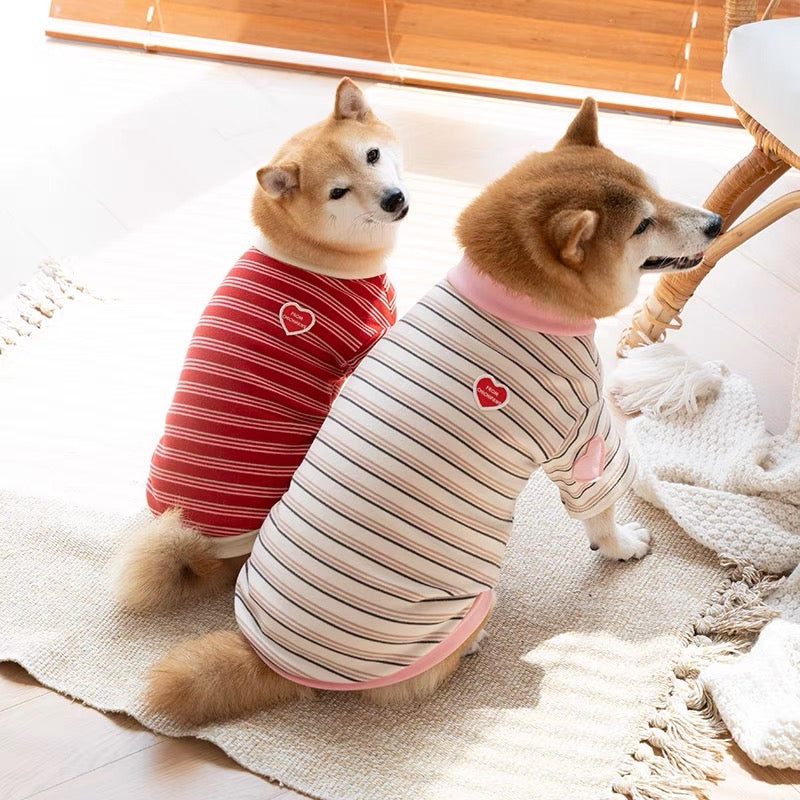 Striped pet clothes
