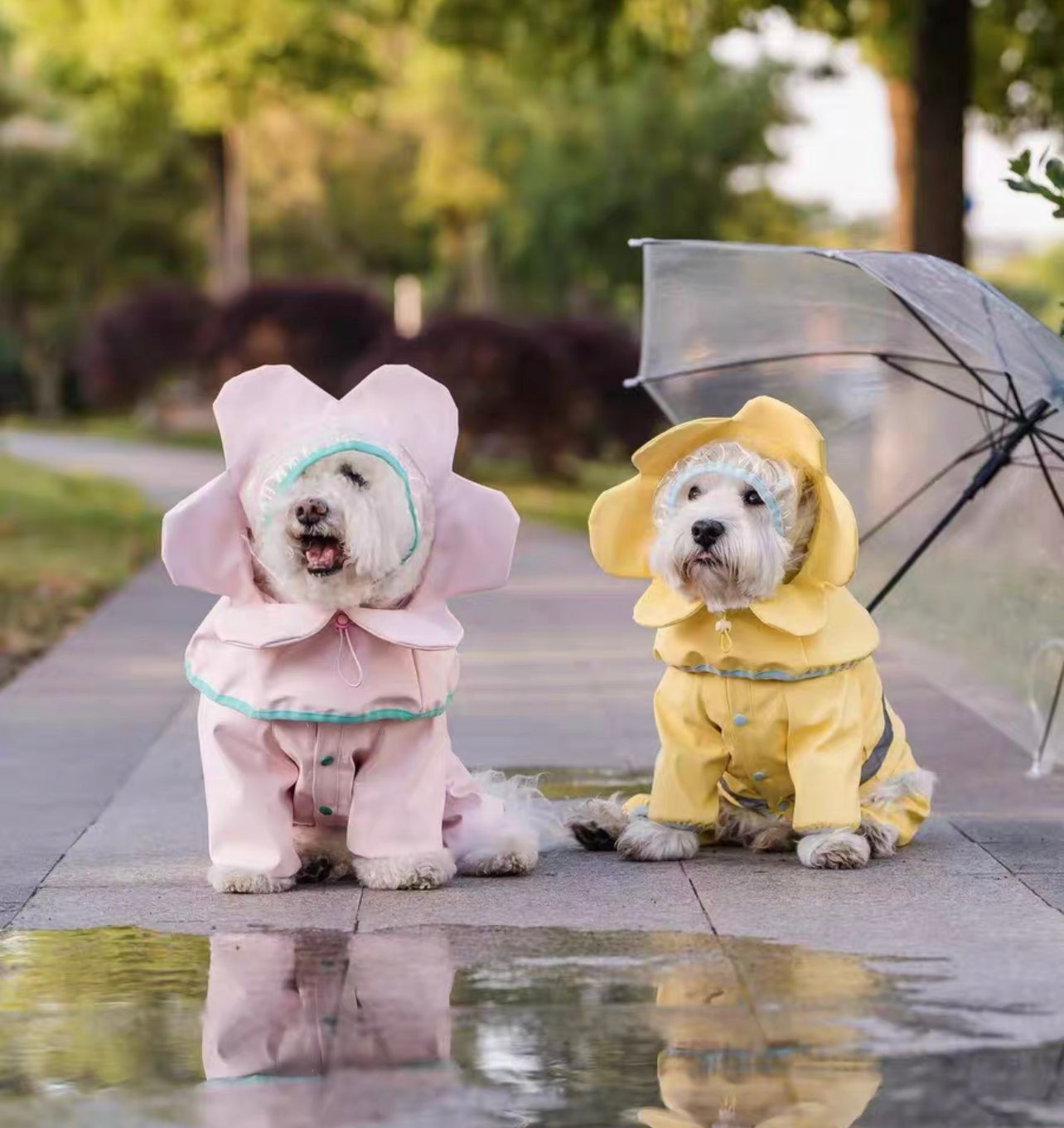 Flower pet rain coat